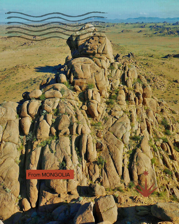 Mongolia - Sulle tracce del Naadam di campagna