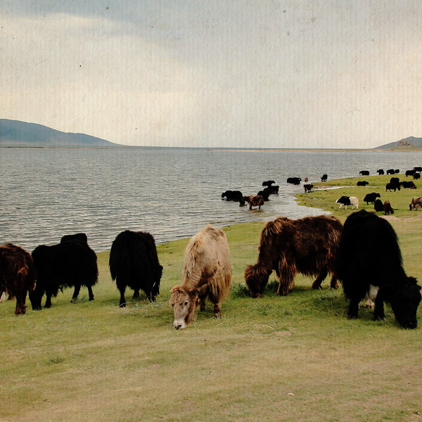 Il lago della Mongolia centrale