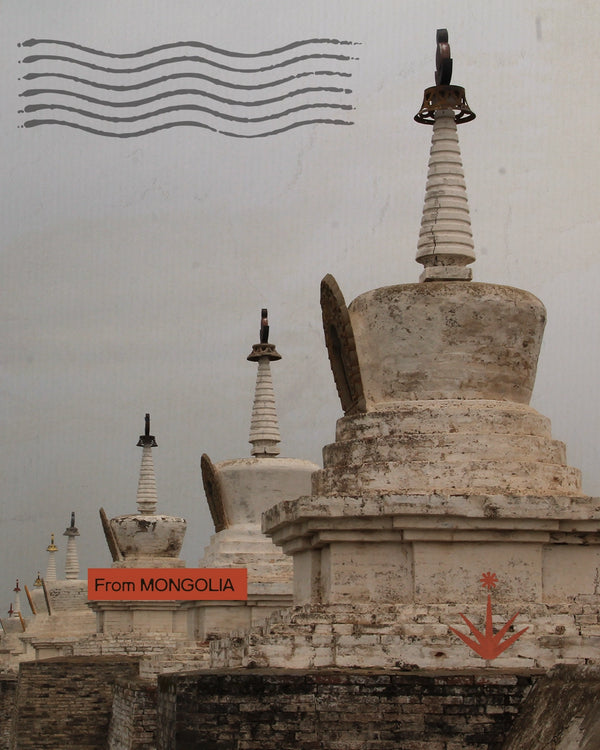 Mongolia - Sulle tracce del Naadam di campagna