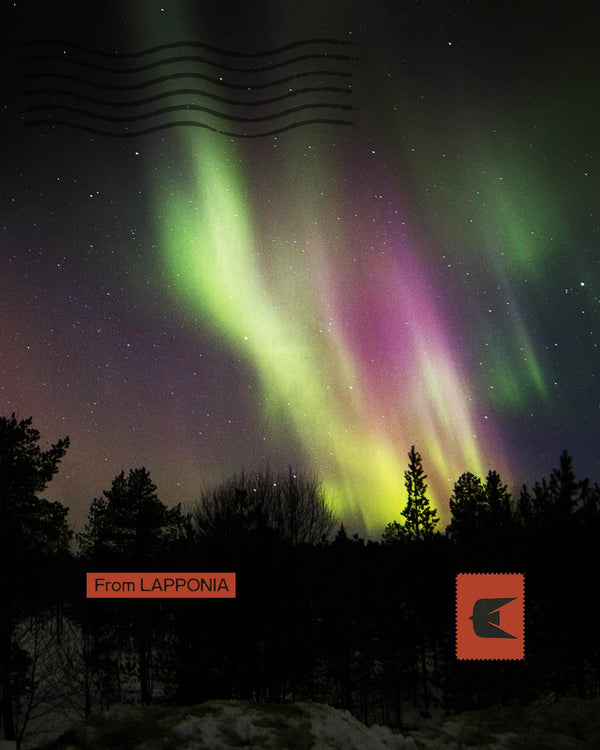 LAPPONIA AURORA BOREALE - Da Babbo Natale alla cultura Sami