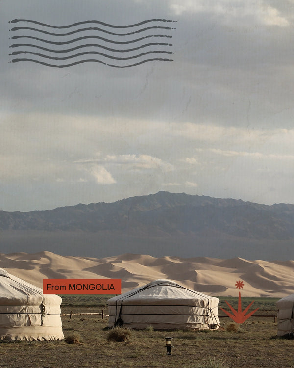 Mongolia - Sulle tracce del Naadam di campagna