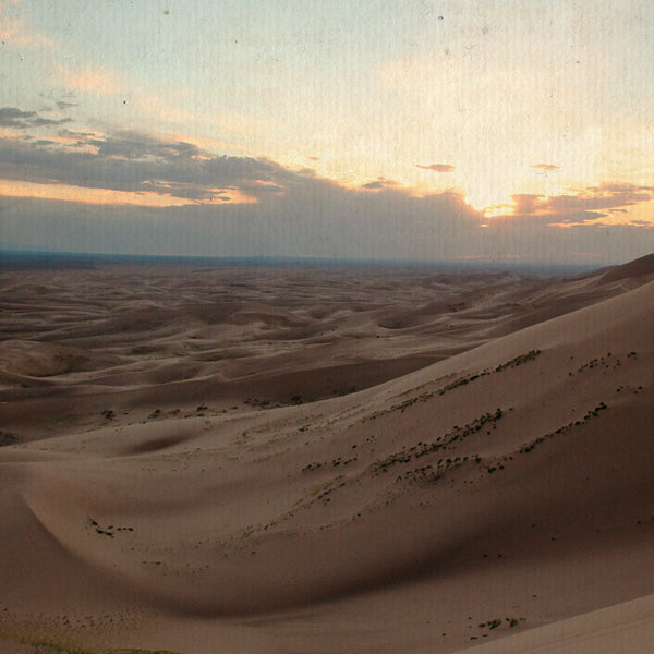 Dal deserto rosso alle dune