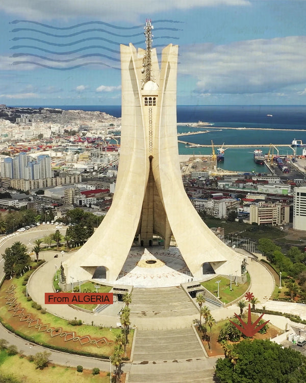 Algeria - Dalle città romane al cuore del Sahara