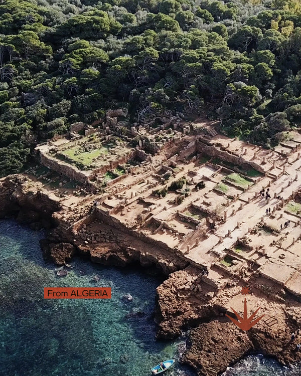 Algeria - Dalle città romane al cuore del Sahara