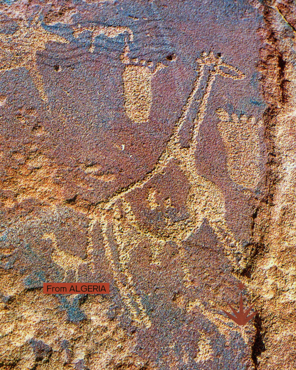 Algeria - Dalle città romane al cuore del Sahara