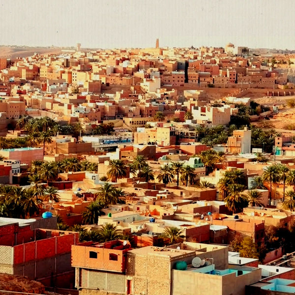 Le città fortificate del deserto