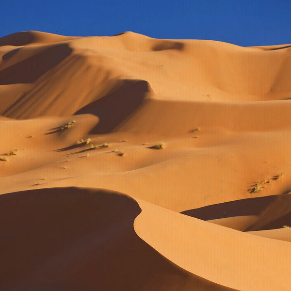 Canyon, guelte e grandi dune