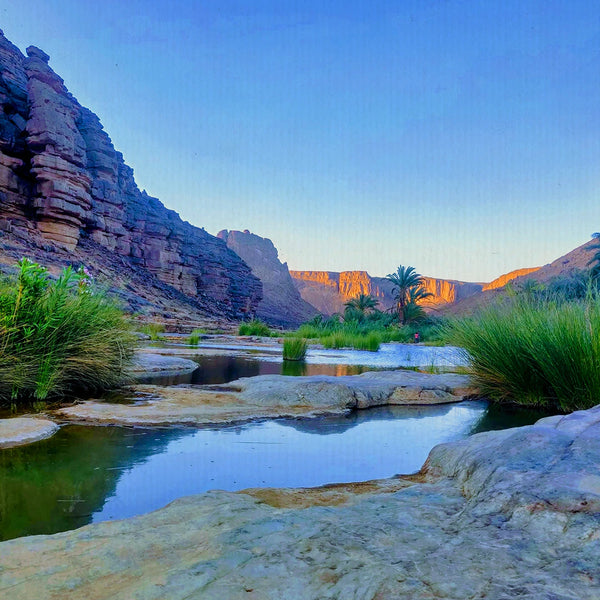 L'oasi nascosta del Sahara