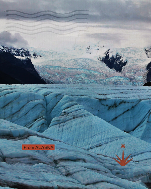 Alaska - Nel cuore del mondo selvaggio