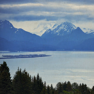 Il margine dell'addio