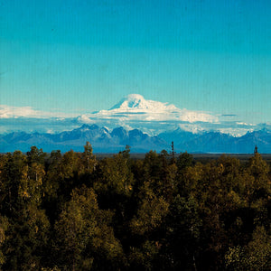 Il patto della solitudine