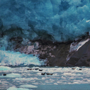 Nel regno della pazienza