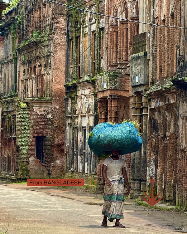 Bangladesh - Fiumi, villaggi e foreste del Bengala