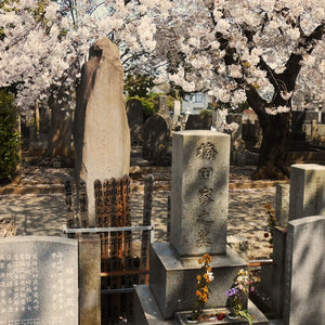 Tragedia e giovani eroi