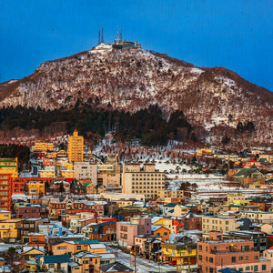 La morte di Hijikata