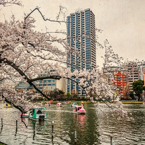 La capitale in fiamme