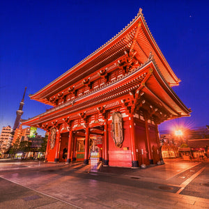 Hijikata, radici di un demone