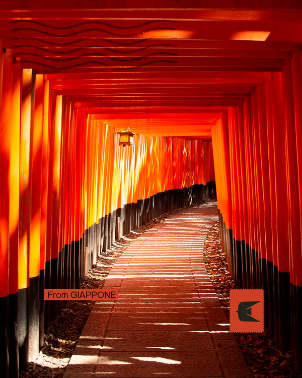 Giappone Shinsengumi - Sulle tracce dei lupi di Mibu