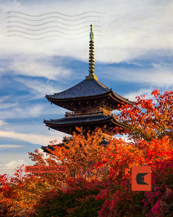 Giappone Shinsengumi - Sulle tracce dei lupi di Mibu