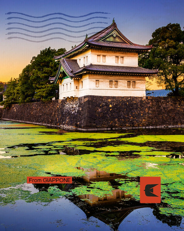 Giappone Shinsengumi - Sulle tracce dei lupi di Mibu