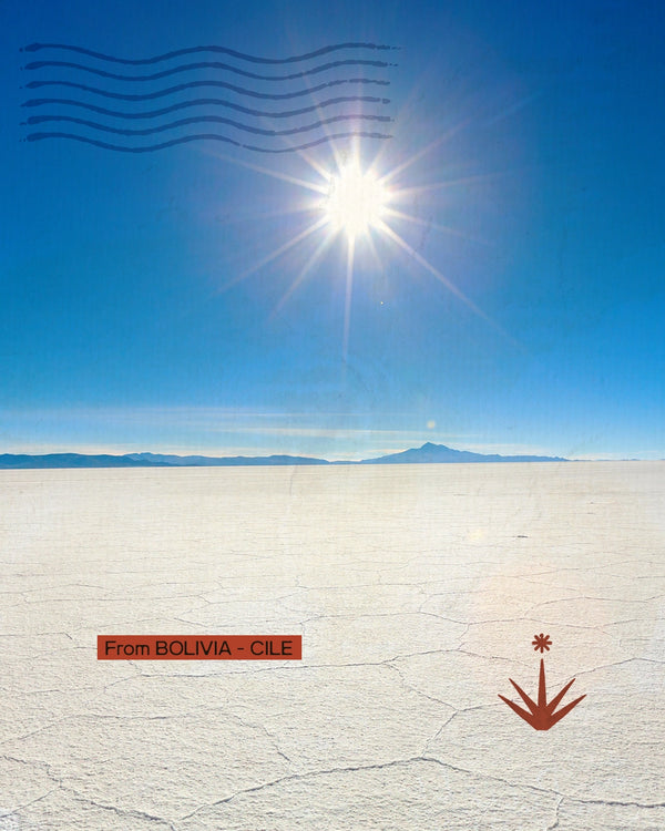 Bolivia Cile - Estensione all'Isola di Pasqua