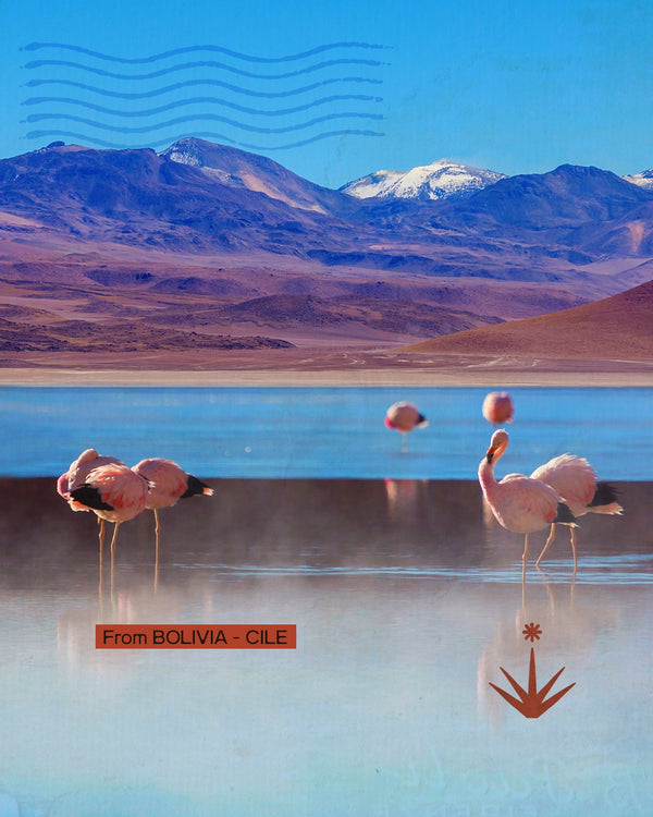 Bolivia Cile - Estensione all'Isola di Pasqua