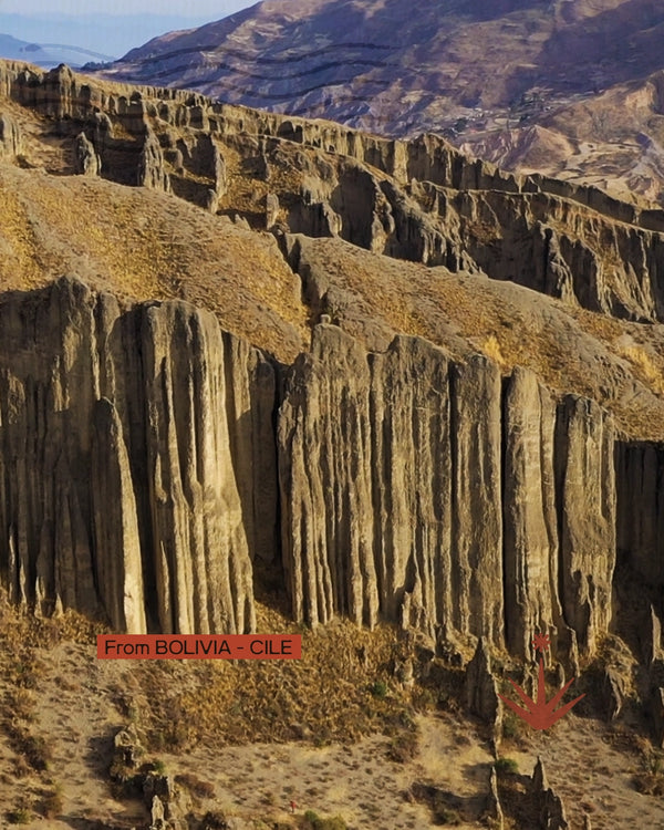 Bolivia Cile - Estensione all'Isola di Pasqua