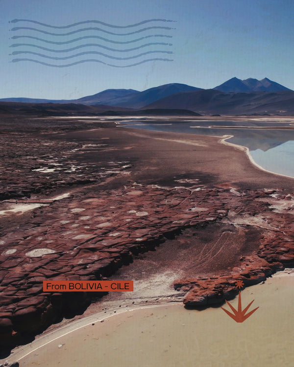 Bolivia Cile - Estensione all'Isola di Pasqua