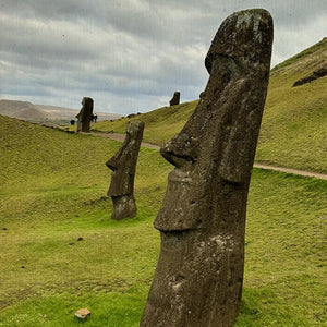 Rientro in Italia (estensione opzionale)