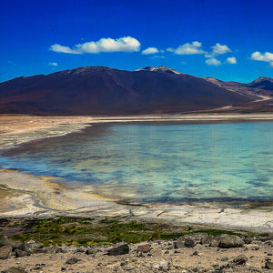 Lagune altiplaniche, Salar de Atacama e Piedras Rojas