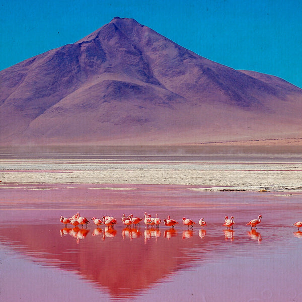 Ingresso in Bolivia