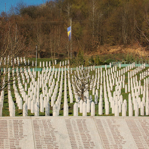 Il silenzio delle madri 