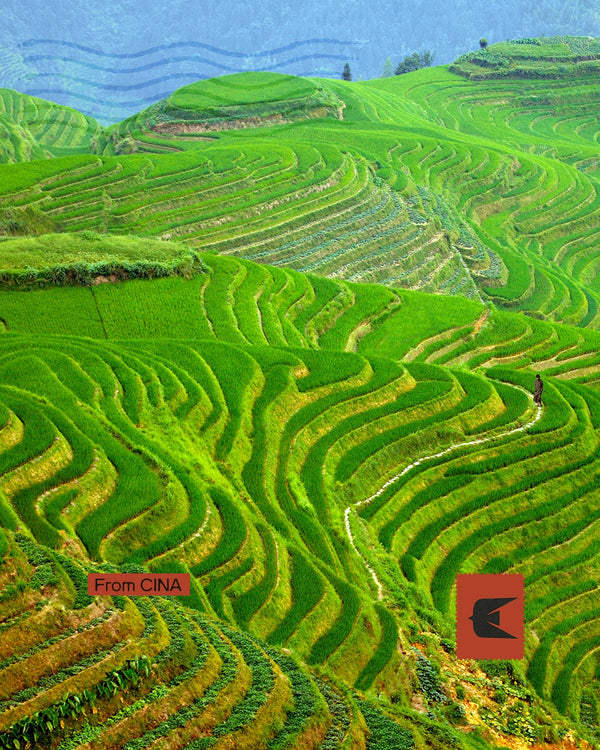 Cina - Imperi, paesaggi simbolo e mondi sospesi