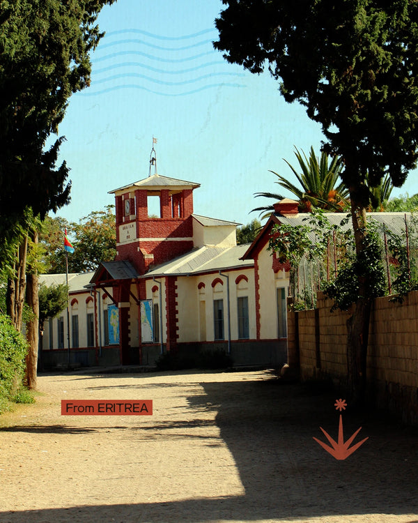 Eritrea e Dahlak - La Roma rossa e le isole