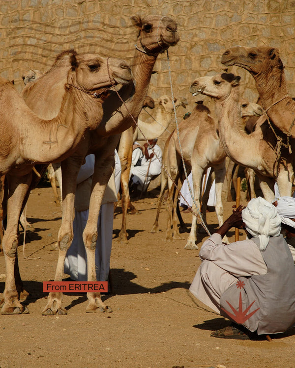 Eritrea e Dahlak - La Roma rossa e le isole