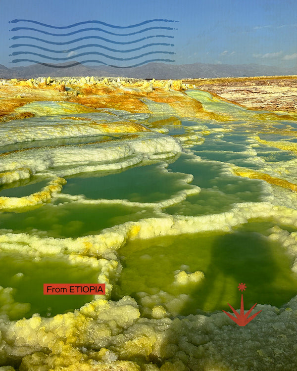 Etiopia, Dancalia e Omo river - Terre al confine del tempo