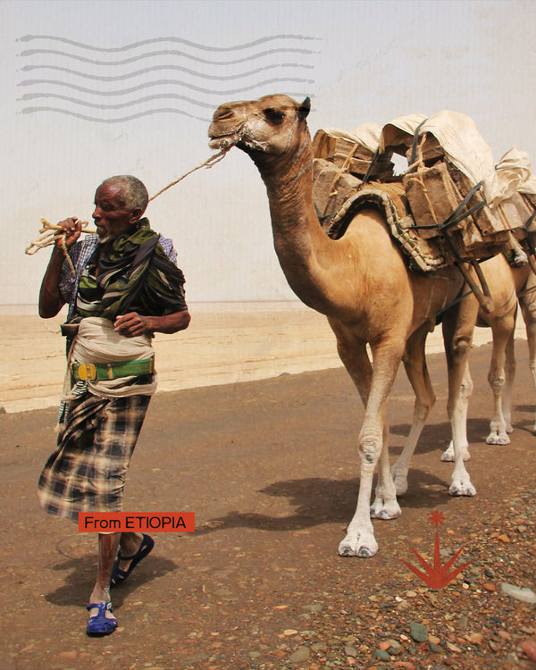 Etiopia, Dancalia e Omo river - Terre al confine del tempo