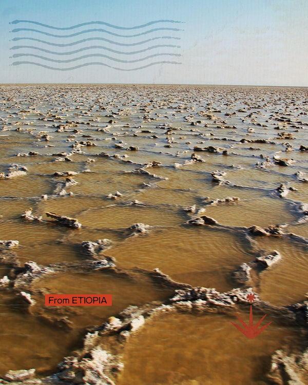 Etiopia, Dancalia e Omo river - Terre al confine del tempo