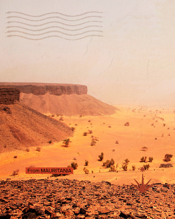 Mauritania - Ferro tra le dune