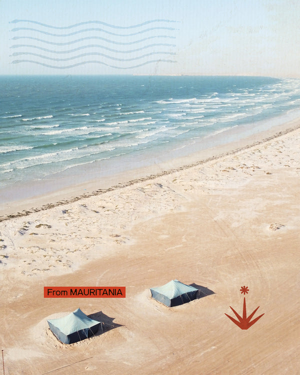 Mauritania - Ferro tra le dune