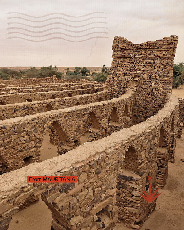 Mauritania - Ferro tra le dune