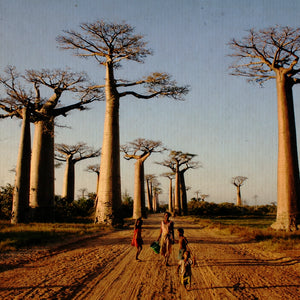 Betania e l’Oceano Indiano