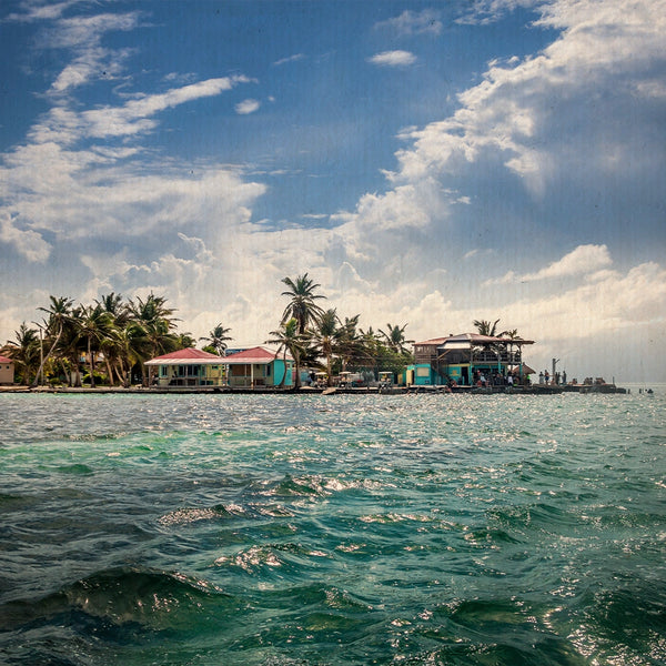 Avventure marine