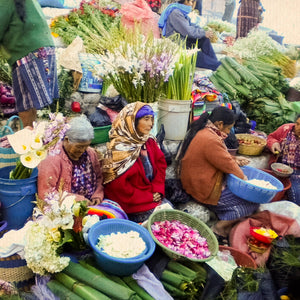 Villaggi lacustri e culture viventi