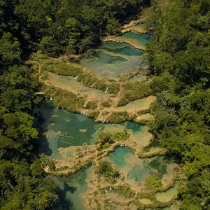 Piscine naturali nel cuore verde dello Yucatan
