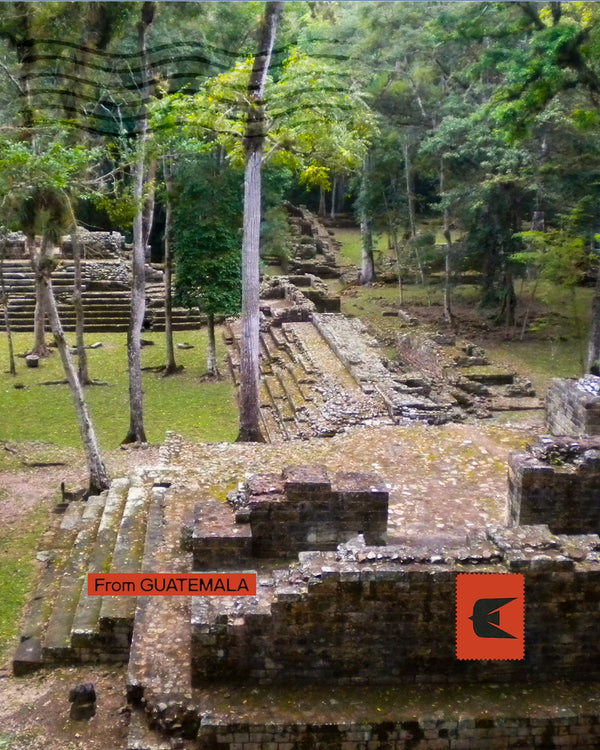 Guatemala, Belize e Honduras - Tra Civiltà Maya e anima caribe