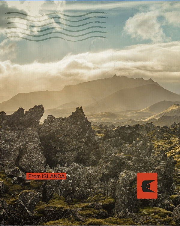 Islanda vichinga - Dalle saghe ai fiordi occidentali