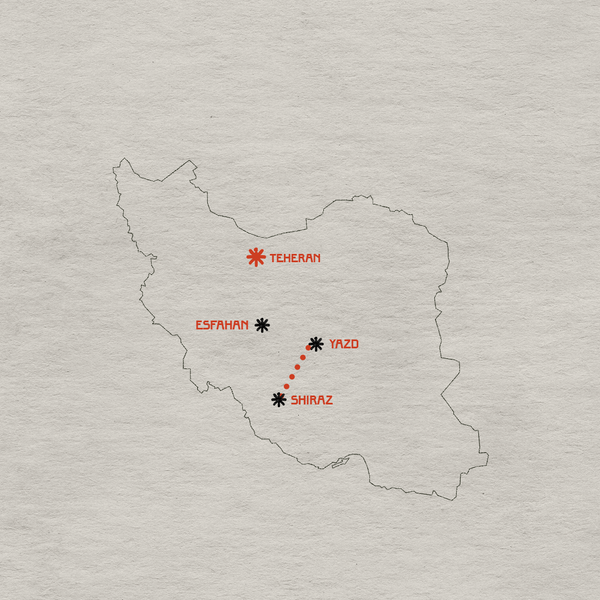 Il cipresso e la tomba