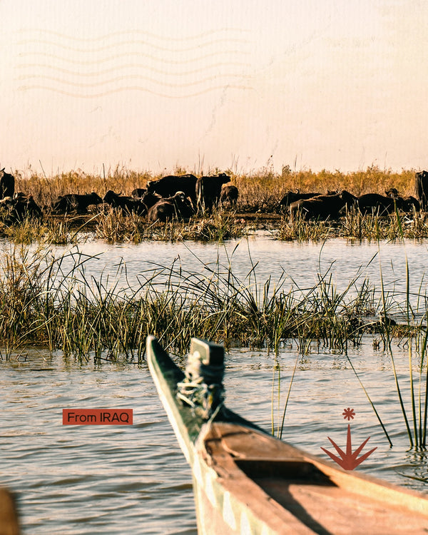 Iraq - La terra tra i due fiumi