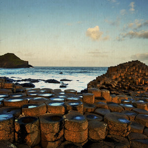 Dark Hedges, Giant’s Causeway e Derry: natura spettacolare